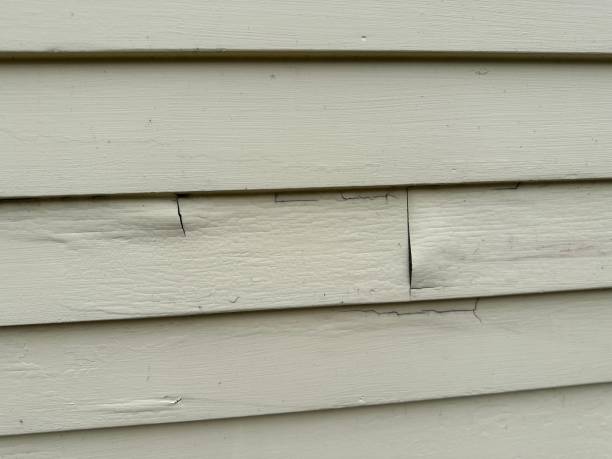 Trusted Greenville, NC Siding Installation & Repair Experts